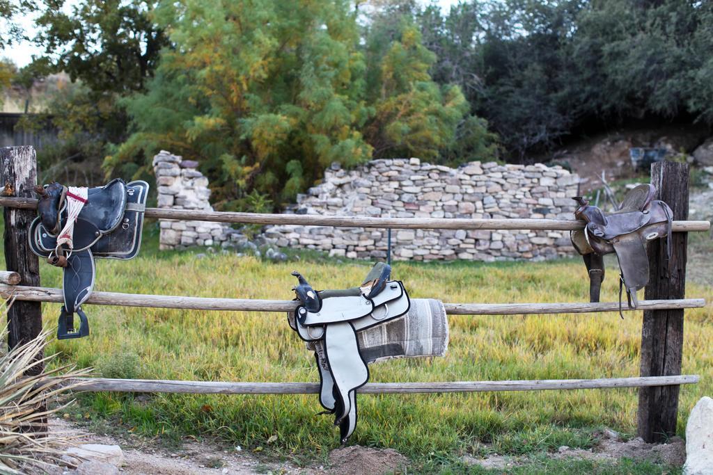 Grand Canyon Western Ranch Meadview Εξωτερικό φωτογραφία