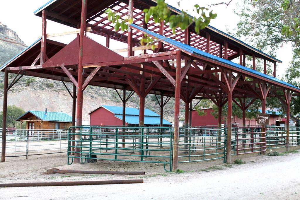 Grand Canyon Western Ranch Meadview Εξωτερικό φωτογραφία