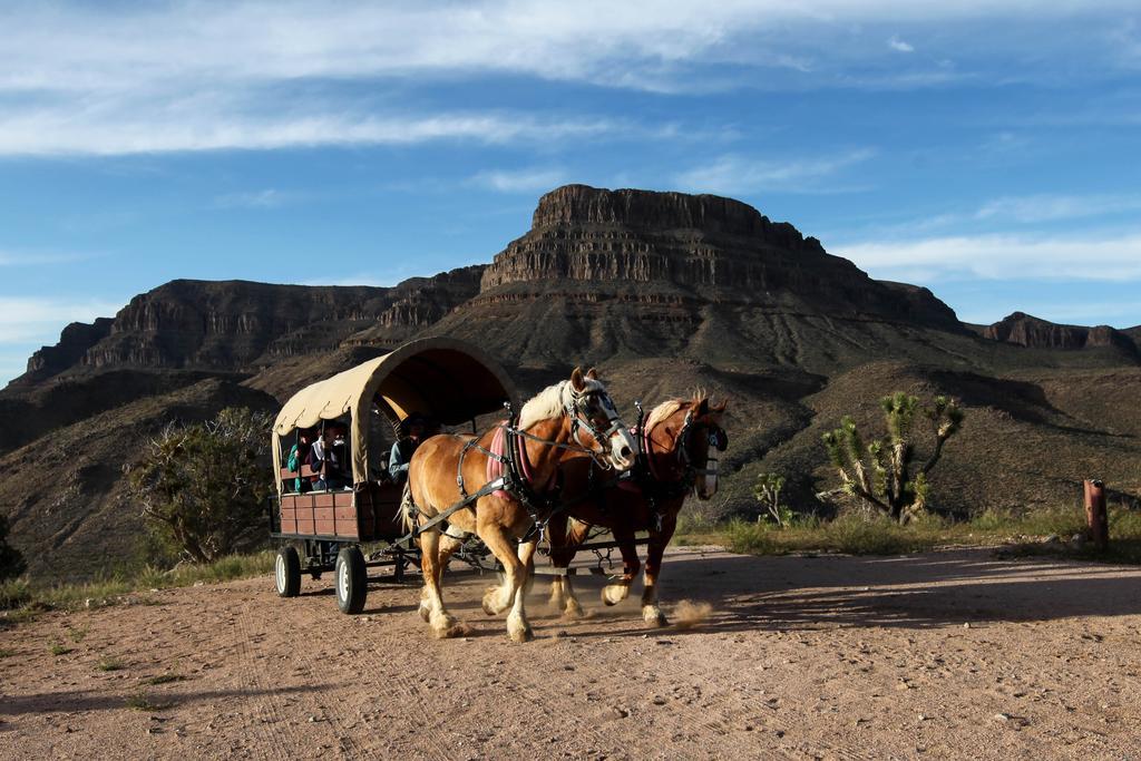 Grand Canyon Western Ranch Meadview Εξωτερικό φωτογραφία