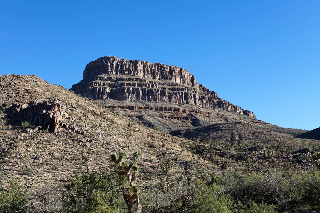 Grand Canyon Western Ranch Meadview Εξωτερικό φωτογραφία