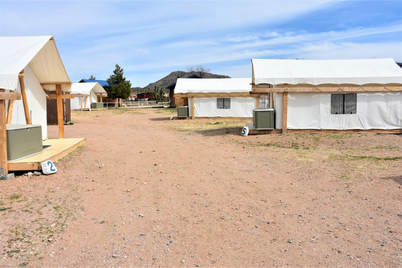 Grand Canyon Western Ranch Meadview Εξωτερικό φωτογραφία