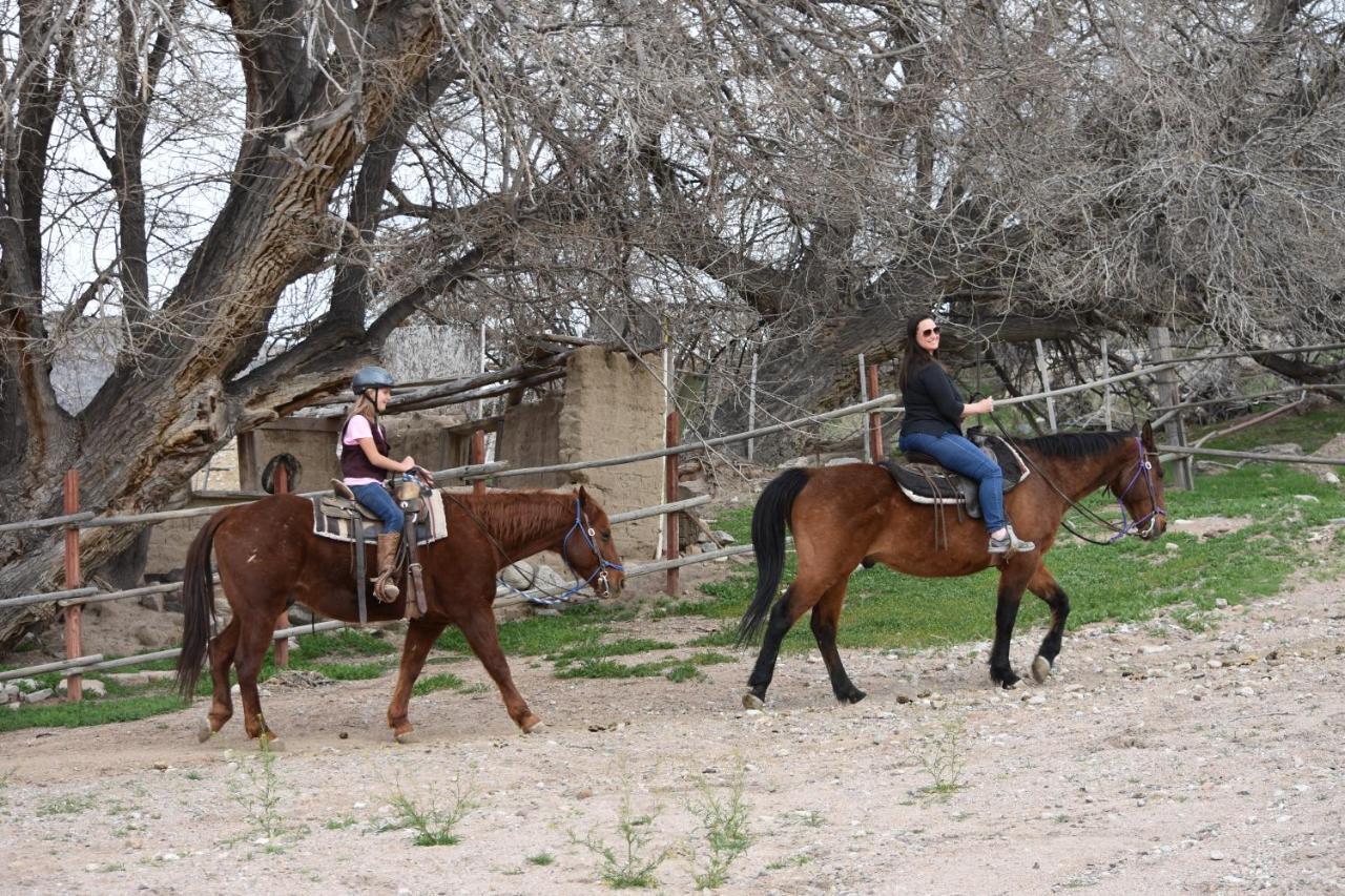 Grand Canyon Western Ranch Meadview Εξωτερικό φωτογραφία